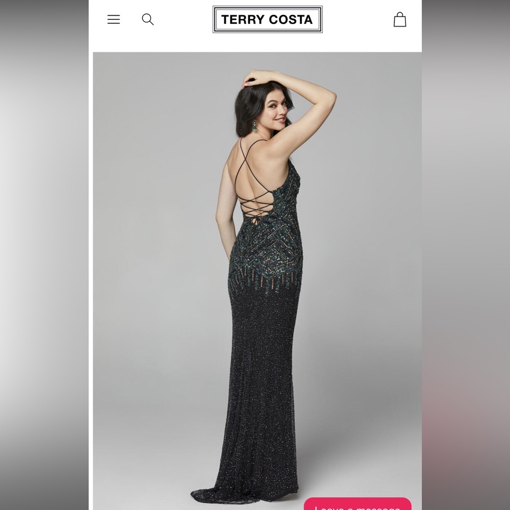 Prom Dress From Terry Costa